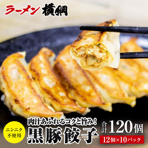 ニンニク不使用 黒豚餃子 10パック120個 京都 小分け 餃子 人気 ラーメン横綱