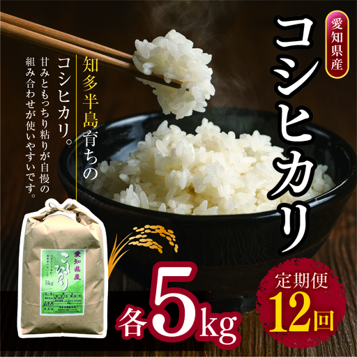 【定期便12回】愛知県産 コシヒカリ 5kg｜米