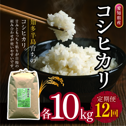 【定期便12回】愛知県産 コシヒカリ 10kg｜米
