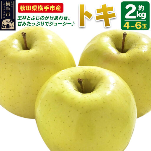 [先行受付 9月下旬より発送]りんご トキ 約2kg(4〜6玉)
