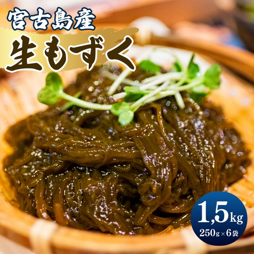 漁師直送！宮古島産生太もずく（1.5kg）｜沖縄宮古島 モズク 海藻 生もずく ヘルシー 食物繊維（CW36）