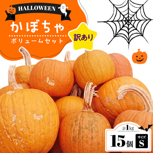 【訳あり】ハロウィン かぼちゃ 15個 ボリュームセット 計1kg Sサイズ (CG003)