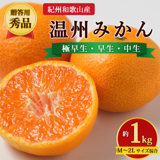 【先行予約】【贈答用・秀品】紀州和歌山産 温州みかん 約1kg（箱込み）M～2L サイズ混合（極早生・早生・中生）