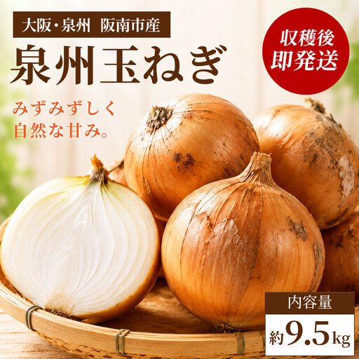 【味にこだわった新玉ねぎ】はたなかさんちの泉州玉ねぎ9.5Kg　