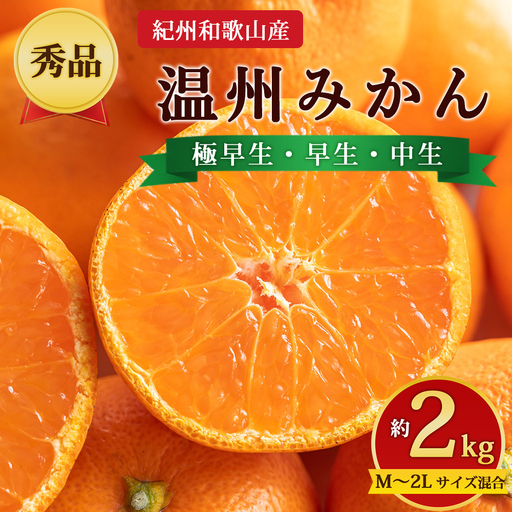 [先行予約][秀品]紀州和歌山産 温州みかん 約2kg(箱込み) M〜2L サイズ混合(極早生・早生・中生)