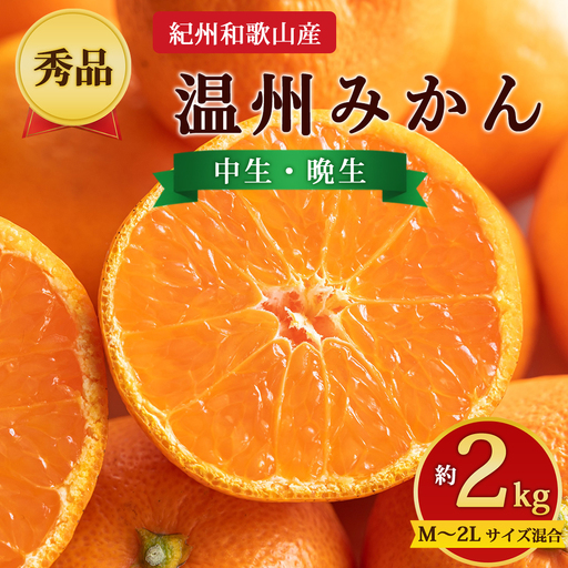 [先行予約][秀品]紀州和歌山産 温州みかん 約2kg(箱込み) M〜2L サイズ混合(中生・晩生)