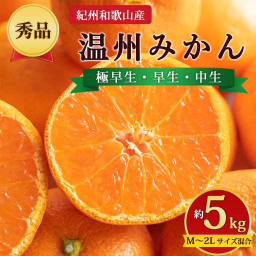 【先行予約】【秀品】紀州和歌山産 温州みかん 約5kg（箱込み） M～2L サイズ混合（極早生・早生・中生）