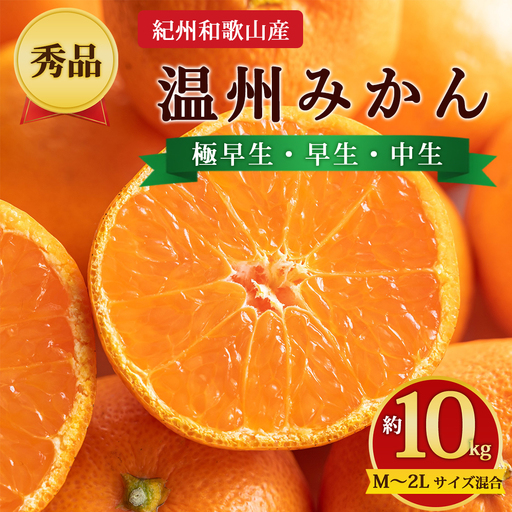 【先行予約】【秀品】紀州和歌山産 温州みかん 約10kg（箱込み） M～2L サイズ混合（極早生・早生・中生）