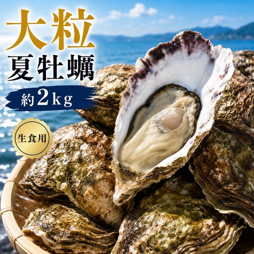 多度津白方 りょうせん 大粒夏牡蠣約2kg(生食用)[B-77]