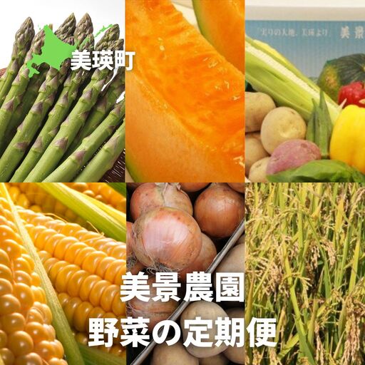 野菜 定期便【令和9年産 先行予約】6回便 野菜セット 美景農園