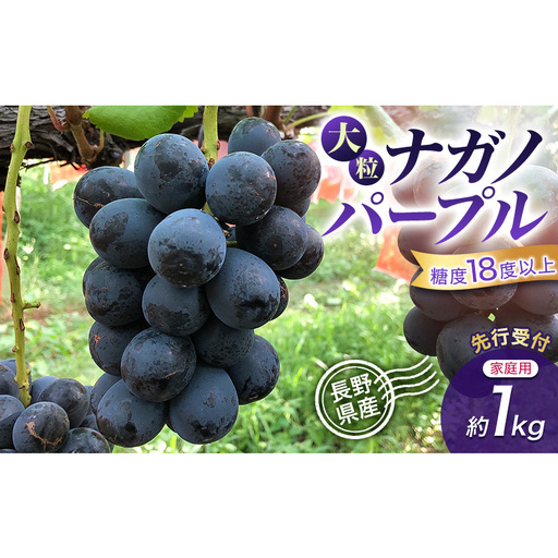 [先行予約][家庭用・訳あり]長野県産 ナガノパープル 約1kg 粒あり・粒なしセット 大粒 甘いぶどう 糖度18度以上 果物 フルーツ 長野県 上田 信州