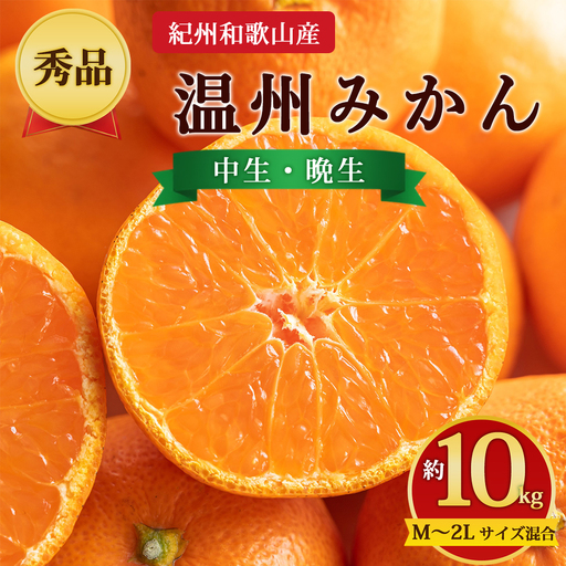 【先行予約】【秀品】紀州和歌山産 温州みかん 約10kg（箱込み） M～2L サイズ混合（中生・晩生）
