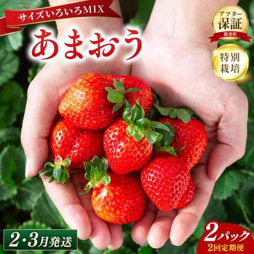 いちご 福岡県産 特別栽培 あまおう サイズいろいろMIX 約570g（約285g×2パック）【2回定期便（2～3月発送）】