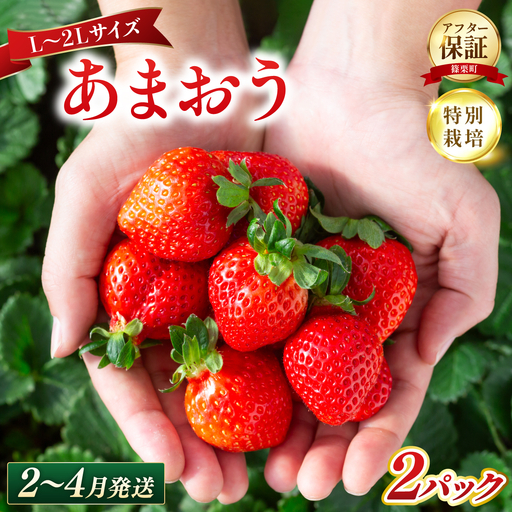 いちご 福岡県産 特別栽培 あまおう L~2Lサイズ(少し小ぶりサイズ)約570g(約285g×2パック)[2〜4月発送]| 農園直送 アフター保証 先行予約 福岡産 送料無料 ケーキ ギフト お祝い 限定 季節限定