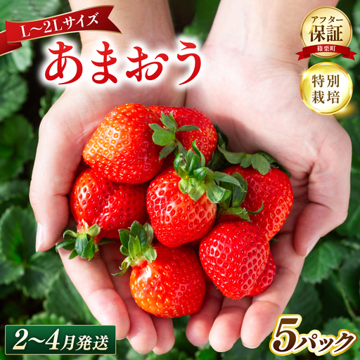 いちご 福岡県産 特別栽培 あまおう L~2Lサイズ（少し小ぶりサイズ）約1425g（約285g×5パック）【2～4月発送】| 農園直送 アフター保証 先行予約 福岡産 送料無料 ケーキ ギフト お祝い 限定 季節限定 UN015