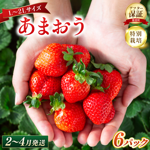 いちご 福岡県産 特別栽培 あまおう L~2Lサイズ（少し小ぶりサイズ）約1500～1620g  （約250～270g×6パック）【2～4月発送】UN020
