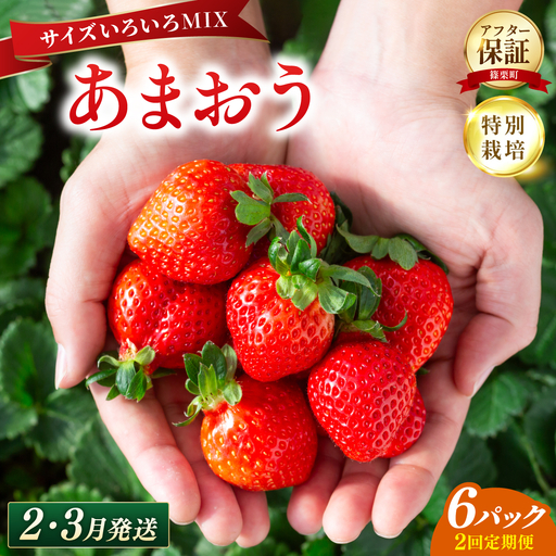 いちご 福岡県産 特別栽培 あまおう サイズいろいろMIX 約1710g（約285g×6パック）【2回定期便（2～3月発送）】