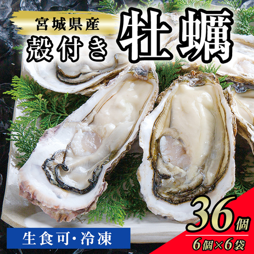 殻付き牡蠣(生食用)冷凍 36個(約3kg) 生牡蠣 宮城県産 牡蛎 牡蠣 カキ かき 生食 オイスター カキフライ 牡蠣鍋 海鮮 国産 魚貝類 バーベキュー BBQ [末永海産株式会社]tm714