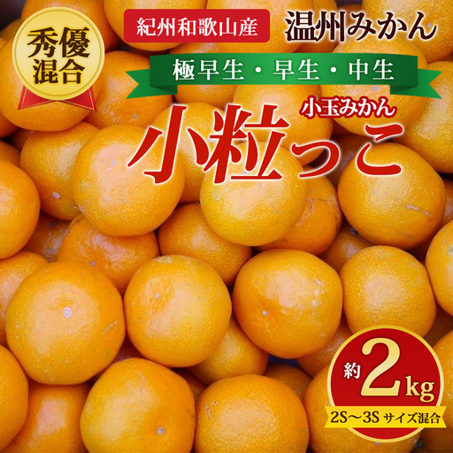 【先行予約】【秀優混合】紀州和歌山産 温州みかん「小粒っこ」約2kg（箱込み）2S～3S サイズ混合 小玉みかん（極早生・早生・中生）