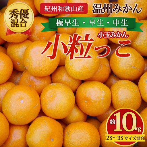 【先行予約】【秀優混合】紀州和歌山産 温州みかん「小粒っこ」約10kg（箱込み）2S～3S サイズ混合 小玉みかん（極早生・早生・中生）