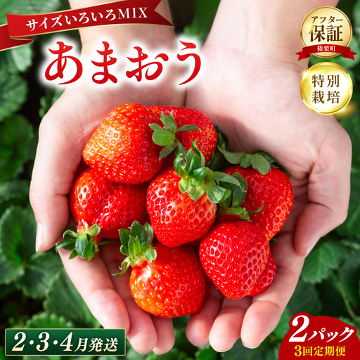 いちご 福岡県産 特別栽培 あまおう サイズいろいろMIX 約500～540g（約250～270g×2パック）【3回定期便（2～4月発送）】UN025