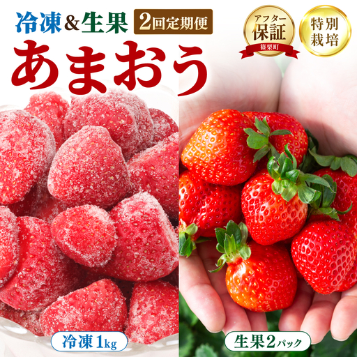 [冷凍&生果の定期便] 福岡県産 特別栽培 あまおう 冷凍あまおう1kg 生果サイズいろいろMIX 約285g×2パック