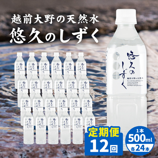 【12ヶ月連続お届け】悠久のしずくPET500ｍｌ×24本×12回配送　計288本