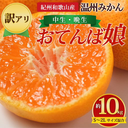 【先行予約】【訳あり】紀州和歌山産 温州みかん「おてんば娘」約10kg（箱込み）S～2L サイズ混合（中生・晩生）