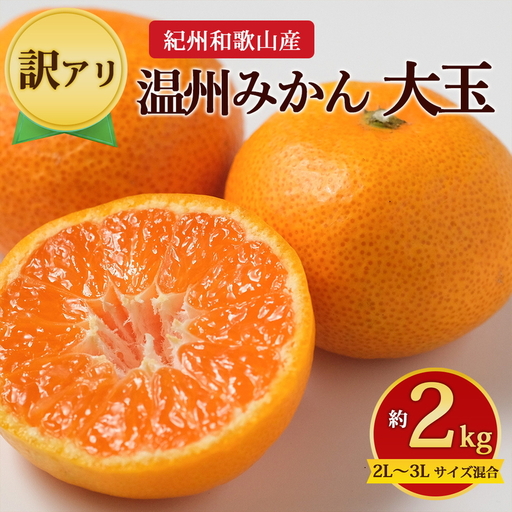 [先行予約][訳あり]紀州和歌山産 大玉 温州みかん 約2kg(箱込み) 2L〜3L サイズ混合