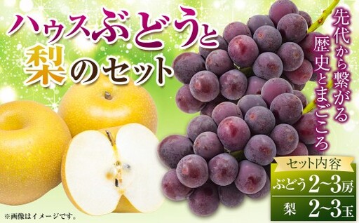 【先行予約】【2027年】種なし ハウスぶどう （2～3房） 梨 （2～3玉） セット 【2027年8月下旬より順次発送予定】 【春光園】 有機配合肥料使用 ぶどう ブドウ 葡萄 梨 なし 豊水梨 秋月梨 果物 フルーツ 詰め合わせ 福岡県 うきは市 冷蔵