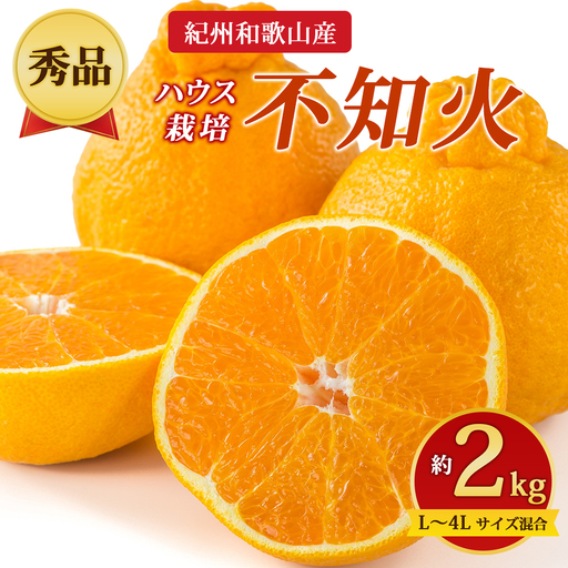 [先行予約][秀品]紀州和歌山産 ハウス栽培 不知火 約2kg(箱込み)L〜4L サイズ混合
