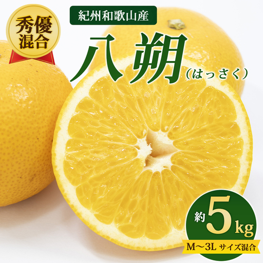 【先行予約】【秀優混合】紀州和歌山産 八朔（はっさく）約5kg（箱込み）M～3L サイズ混合