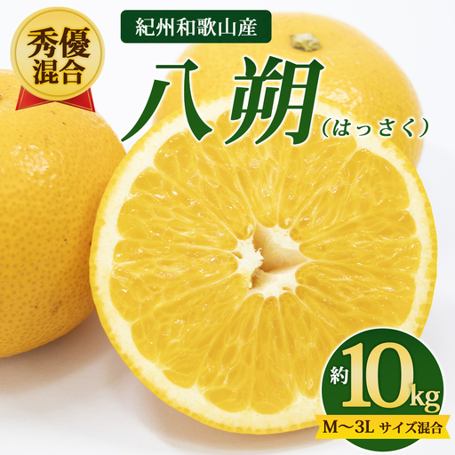 【先行予約】【秀優混合】紀州和歌山産 八朔（はっさく）約10kg（箱込み）M～3L サイズ混合