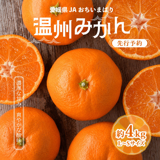 みかん [先行予約]瀬戸内の温州みかん4kg L〜S