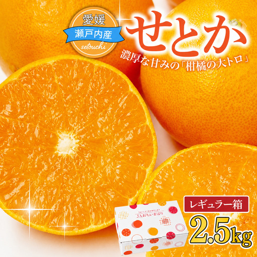 【先行受付】せとか 2.5kg レギュラー箱 みかん 柑橘