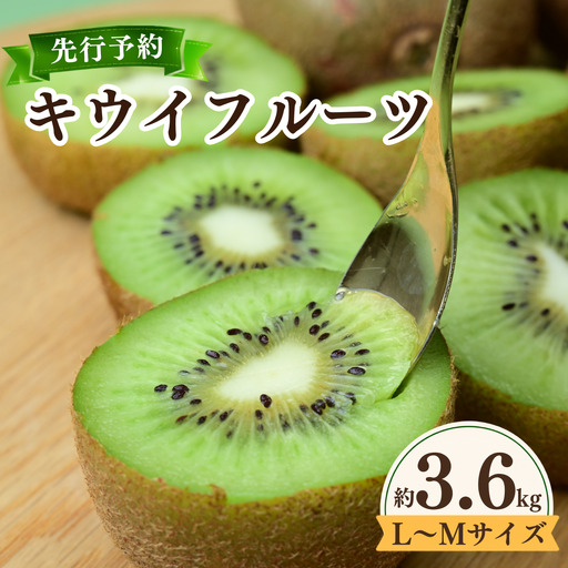 [先行受付]キウイフルーツ 30〜33玉 約3.6kg 定数詰 M〜L
