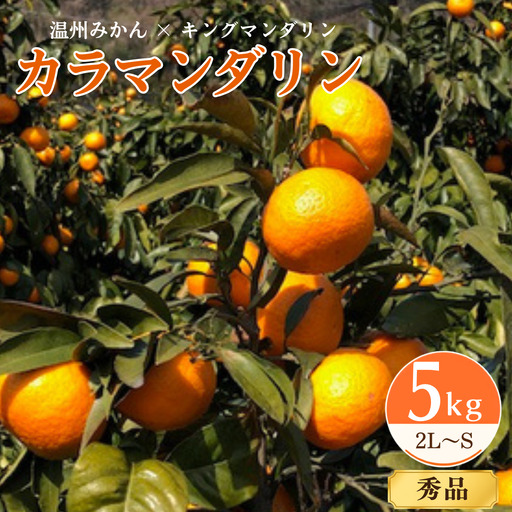 みかん[先行受付]カラマンダリン 5kg 秀 2L〜S