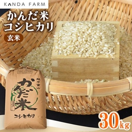 【令和8年産】　かんだ米『コシヒカリ』玄米　30kg×1袋【1760443】