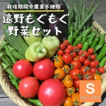 夏野菜セット 8種 Sサイズ 栽培期間中農薬不使用 岩手県 遠野市 遠野もぐもぐカントリー【配送不可地域：離島】【1634883】