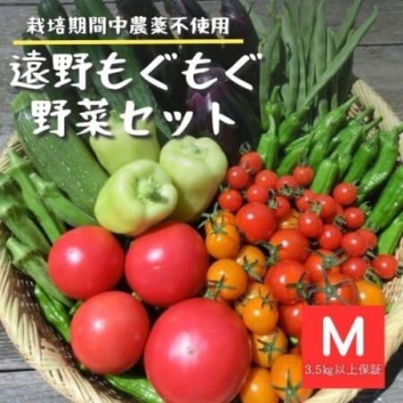 夏野菜セット 10種 Mサイズ 栽培期間中農薬不使用 岩手県 遠野市 遠野もぐもぐカントリー【配送不可地域：離島】【1634884】