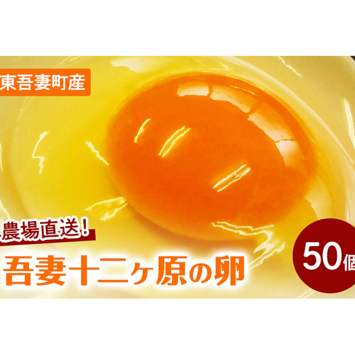 卵吾妻十二ヶ原の卵堀田養鶏場卵[50個]
