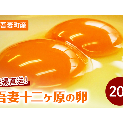 卵吾妻十二ヶ原の卵堀田養鶏場二黄卵卵[20個]