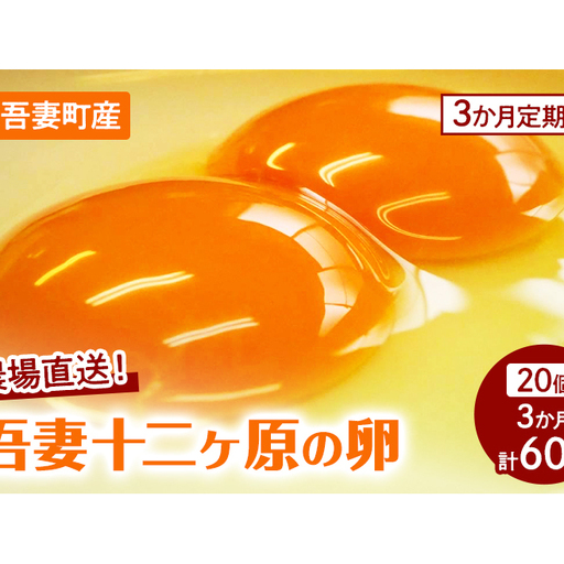 卵吾妻十二ヶ原の卵堀田養鶏場二黄卵卵[20個][定期便3ヶ月]