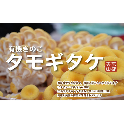 タモギタケ 有機JAS 720g 6パック タモギタケ