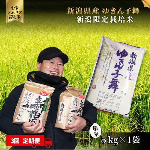 [定期便3回]令和8年産 新米 ゆきん子舞 5kg×3回(計15kg) お米ソムリエ 先行予約 | 新潟県産 米 五泉市