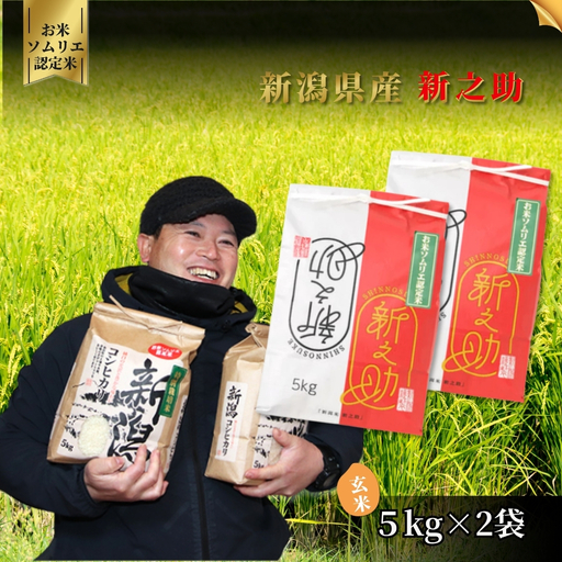 [先行予約]令和8年産 新米 新之助 玄米 10kg(5kg×2袋) お米ソムリエ | 新潟県産 米 玄米 五泉市