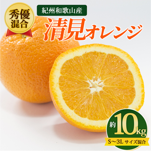 【先行予約】【秀優混合】紀州和歌山産 清見オレンジ 約10kg（箱込み）S～3L サイズ混合