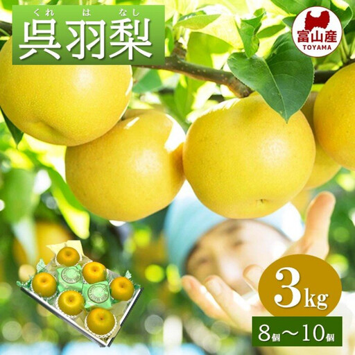 富山 大和百貨店 選定 呉羽梨 幸水 3kg(8個〜10個入)