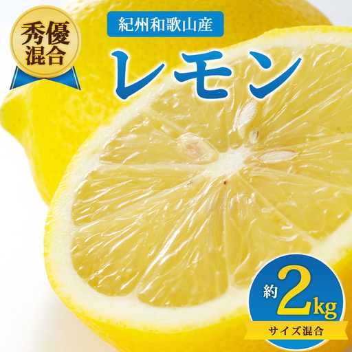 [先行予約][秀優混合]紀州和歌山産 レモン 約2kg サイズ混合