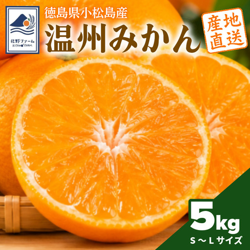 [2026年10月下旬順次発送] みかん 5kg 温州みかん S~Lサイズ 小松島市